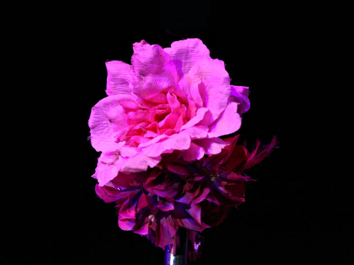 © Copyright 2008 Alan White. All Rights Reserved.